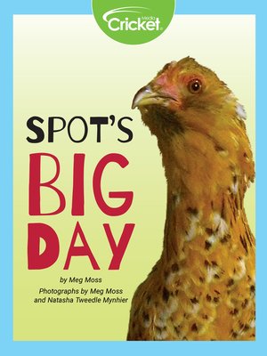 cover image of Spot's Big Day